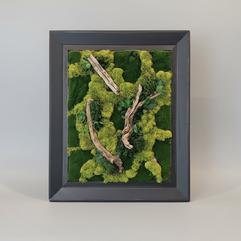 moss and succulent wall art Ancient Woodland