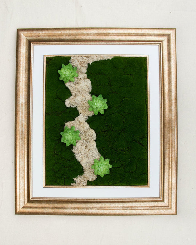 Framed artwork with green succulents on a textured surface