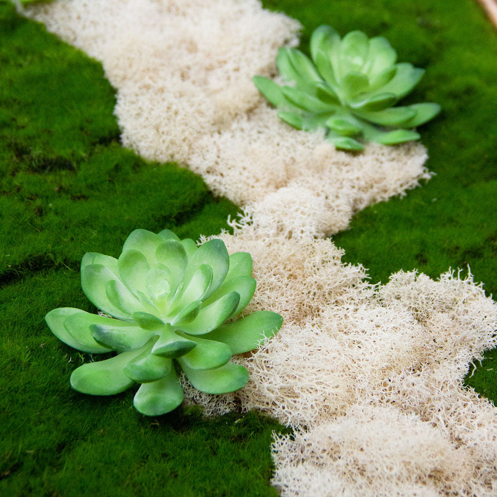 artificial succulent framed wall art Ivory River Moss Wall Art - 20x24 Preserved Botanical Decor