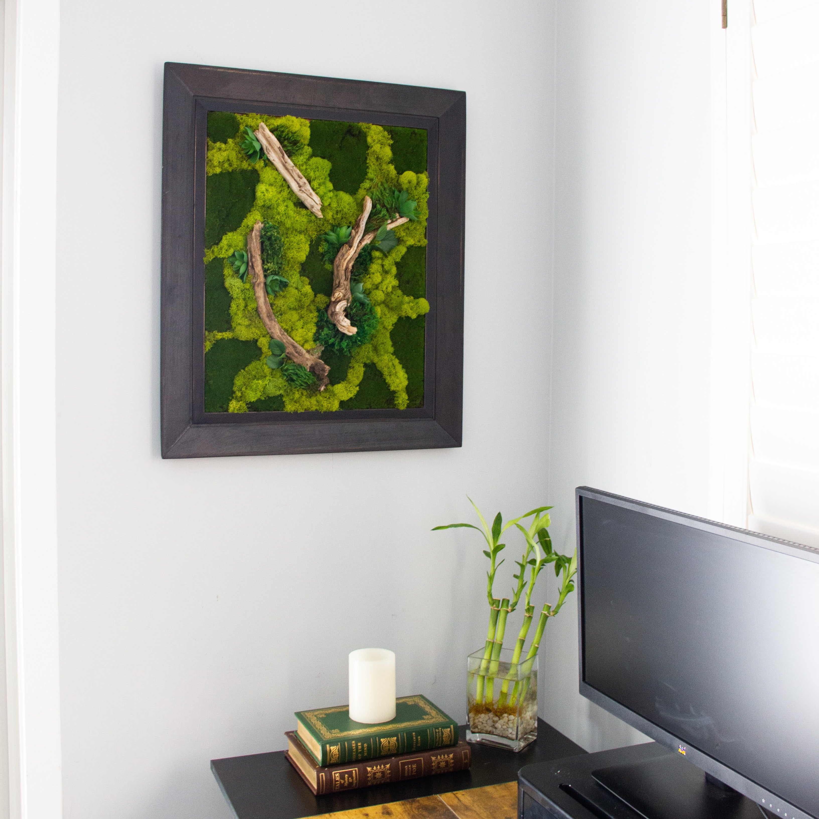 succulent moss wall Ancient Woodland - Preserved Moss & Succulent Wall Art