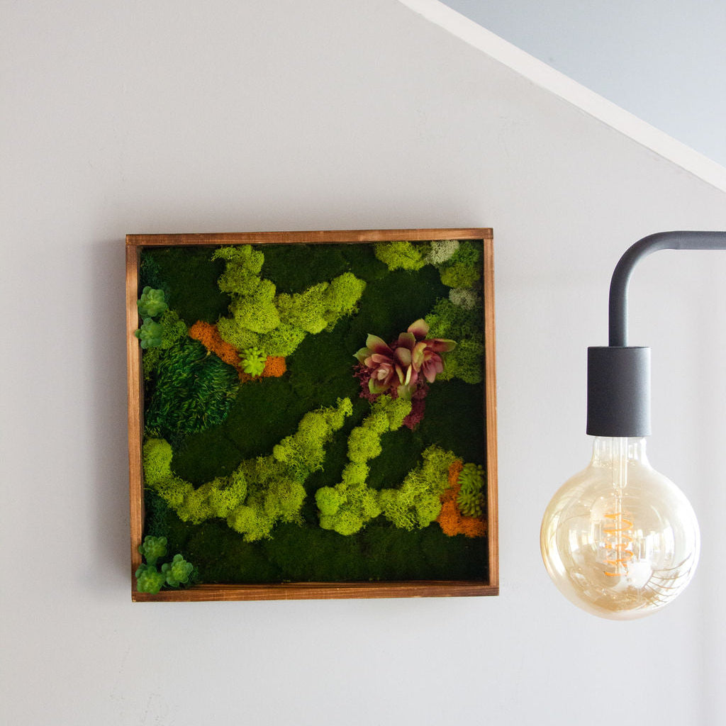 Framed moss wall art on a white wall with a light bulb fixture.