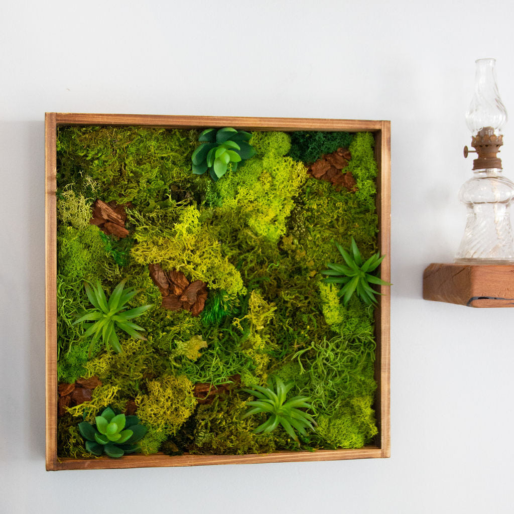 Framed moss wall art on a white wall with a wooden shelf.