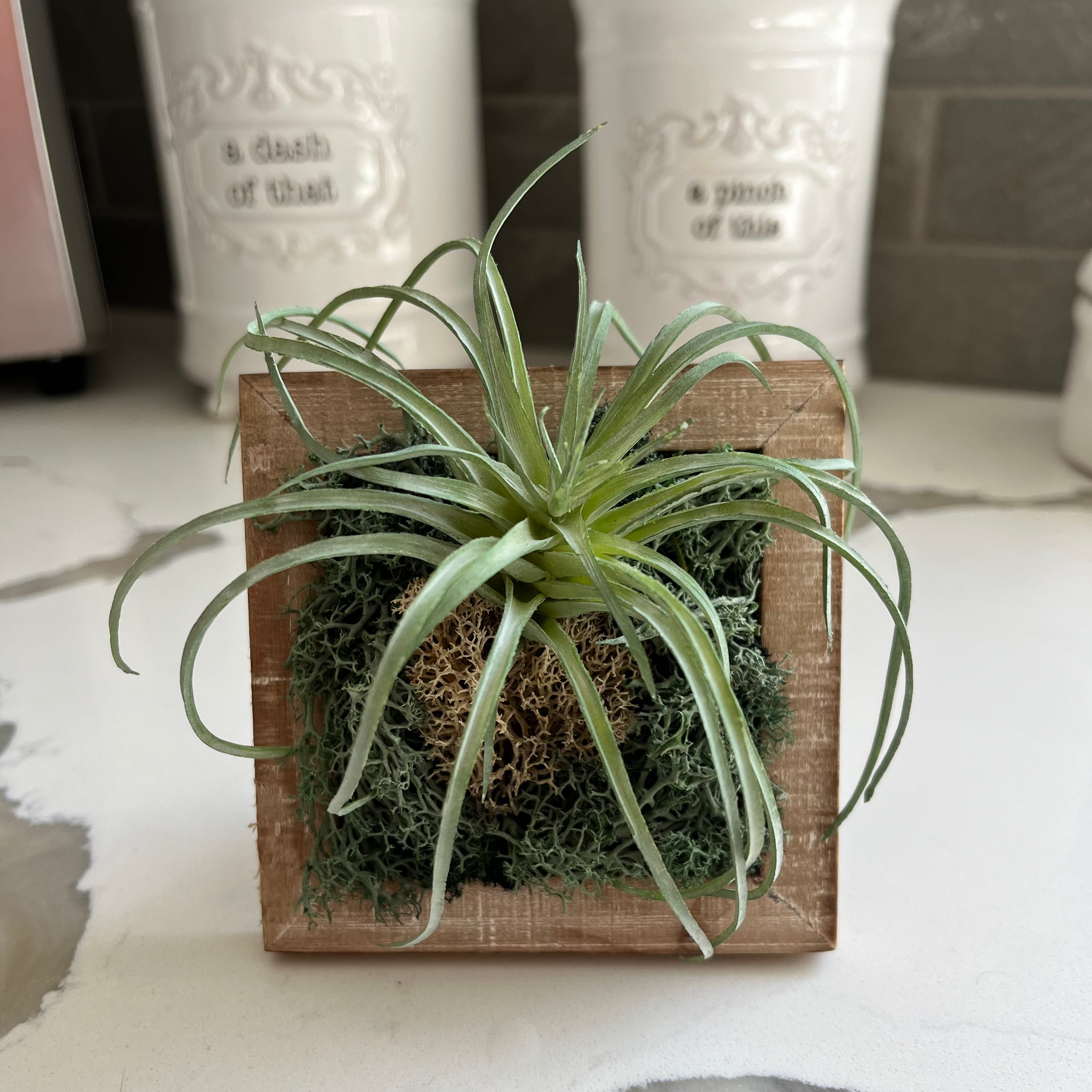 air plant wooden frame Petite Air - Mini Artificial Air Plant Decor 3x3