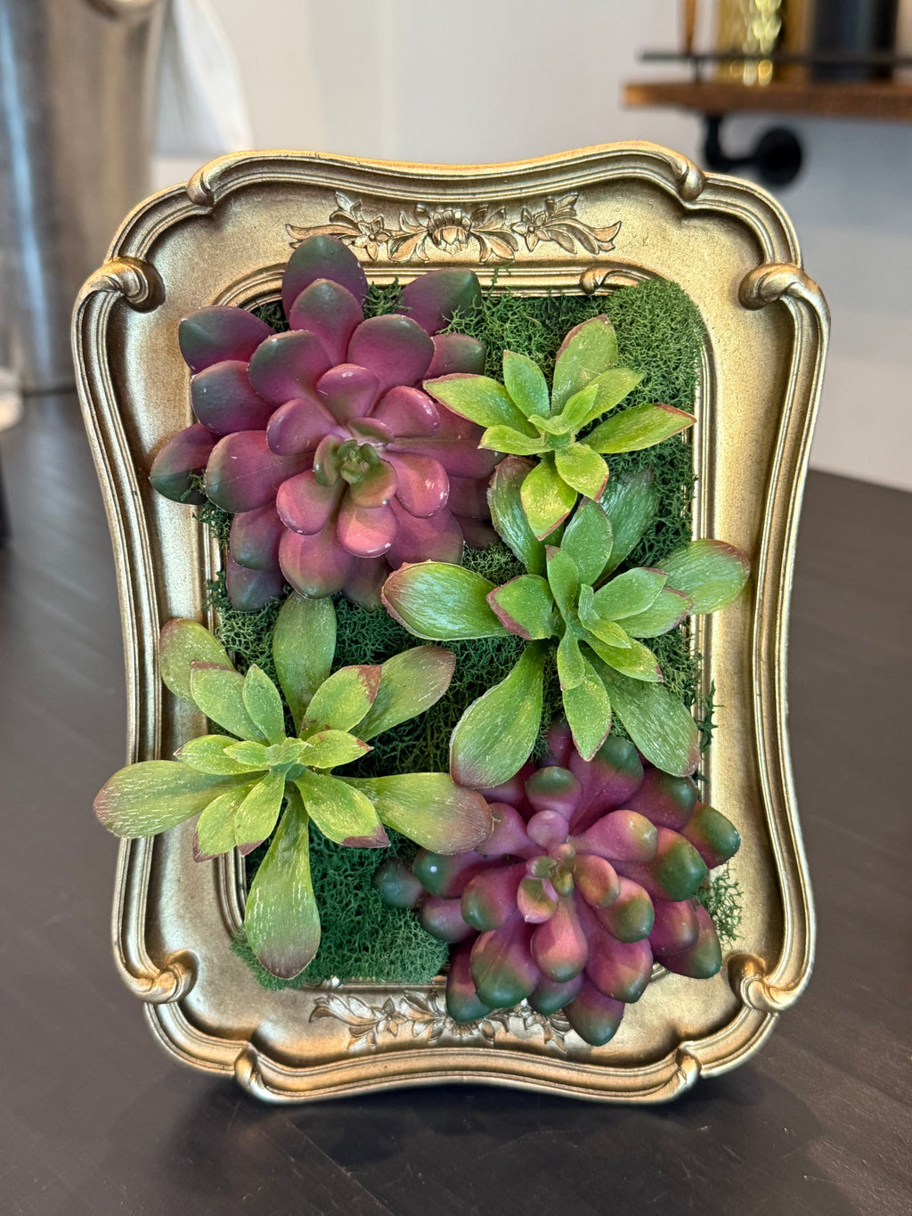 Decorative frame with succulents on a wooden surface