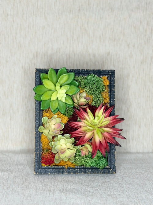 Framed succulent and moss wall art on a textured white background