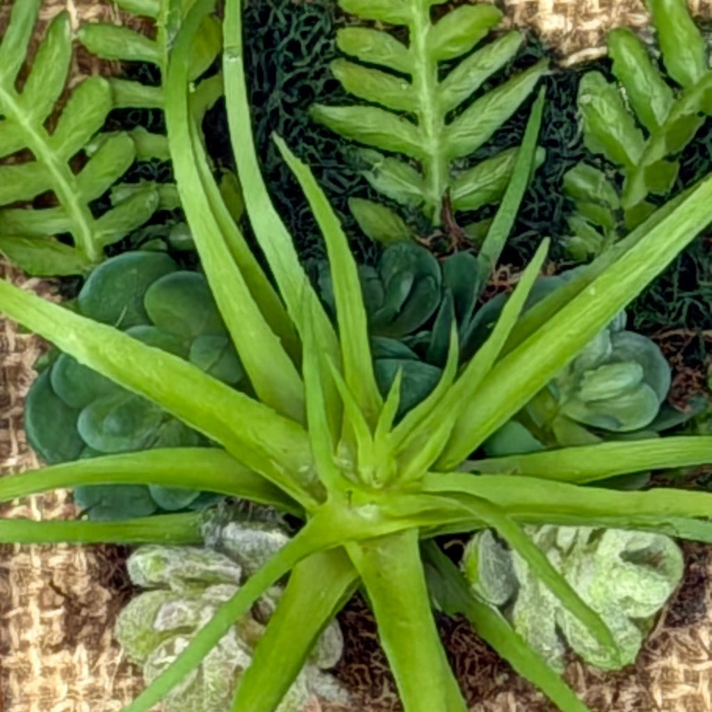 Close-up of green artificial plants on a textured surface