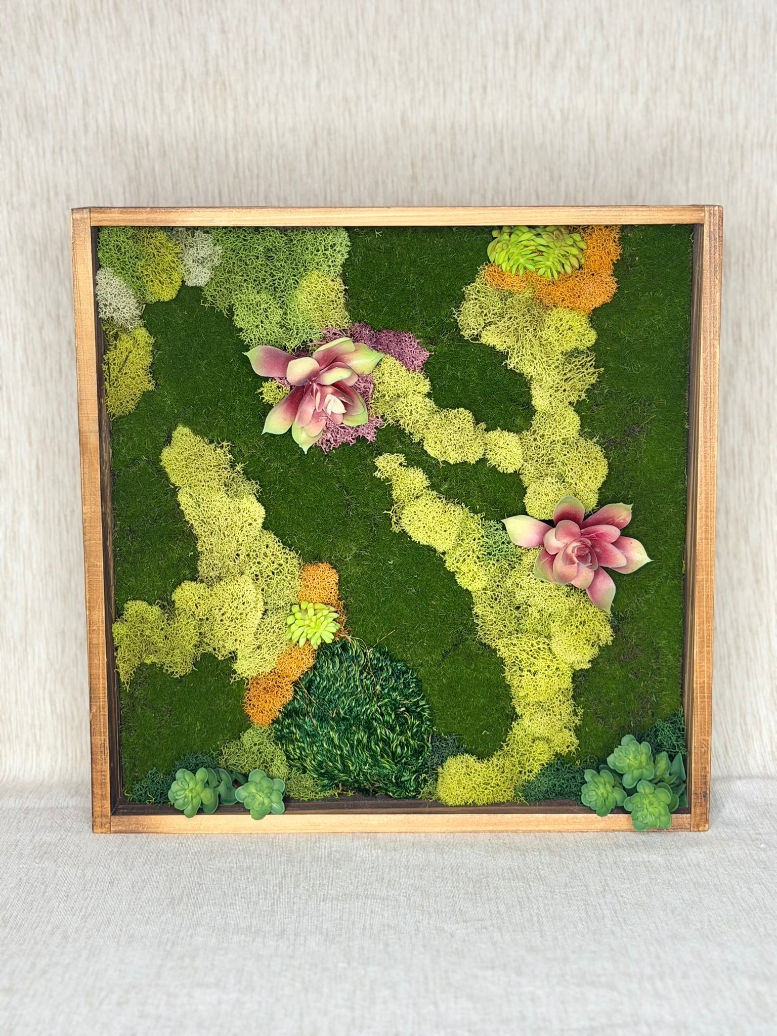 Framed moss wall art with pink flowers on a textured wall background