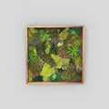 Framed wall art with green plants and moss on a white background