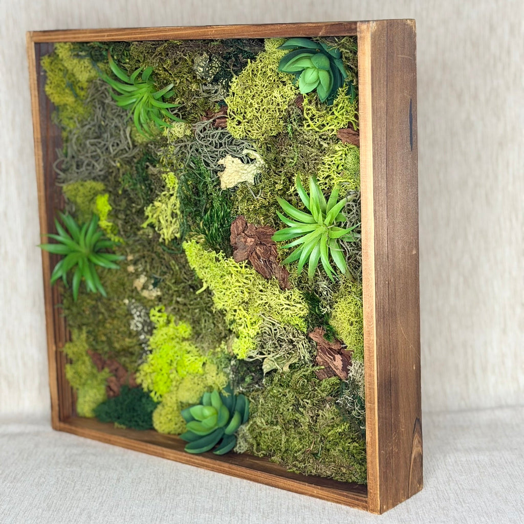 Framed wall art with green plants and moss on a white background