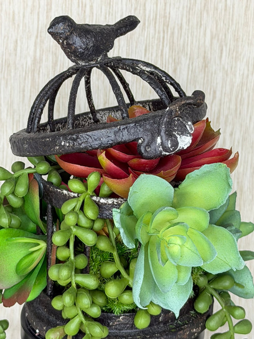 Fall Succulent Bird Cage