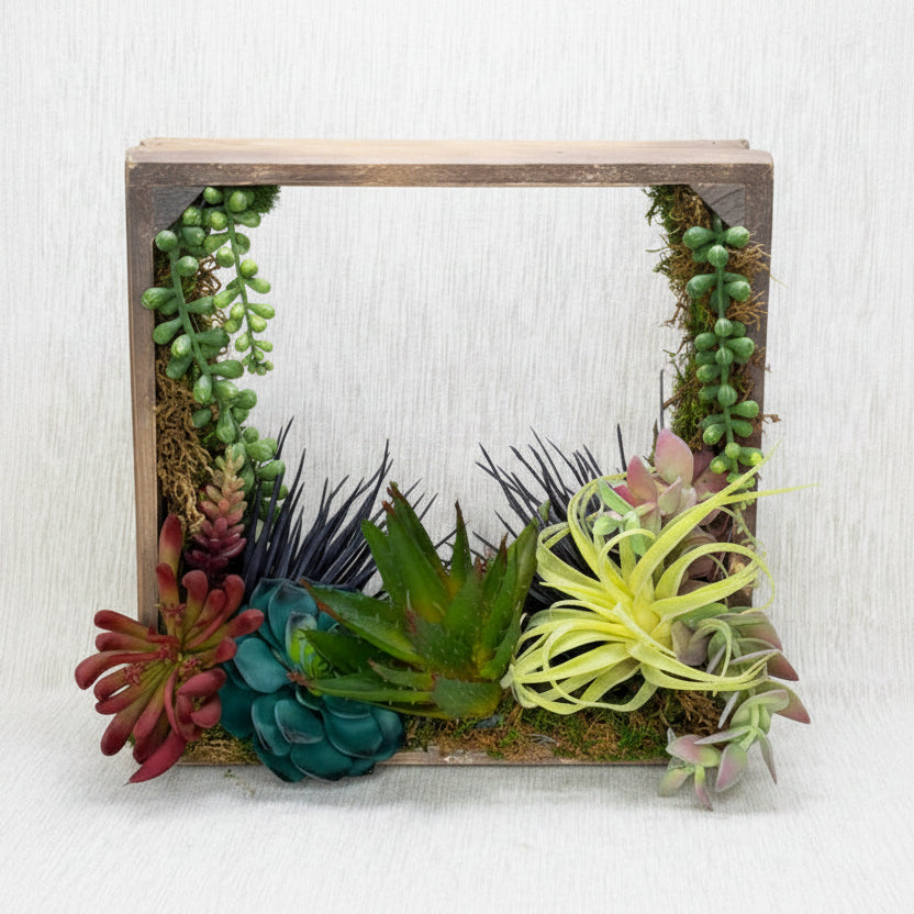 Small wooden box with succulents and air plants on a textured surface