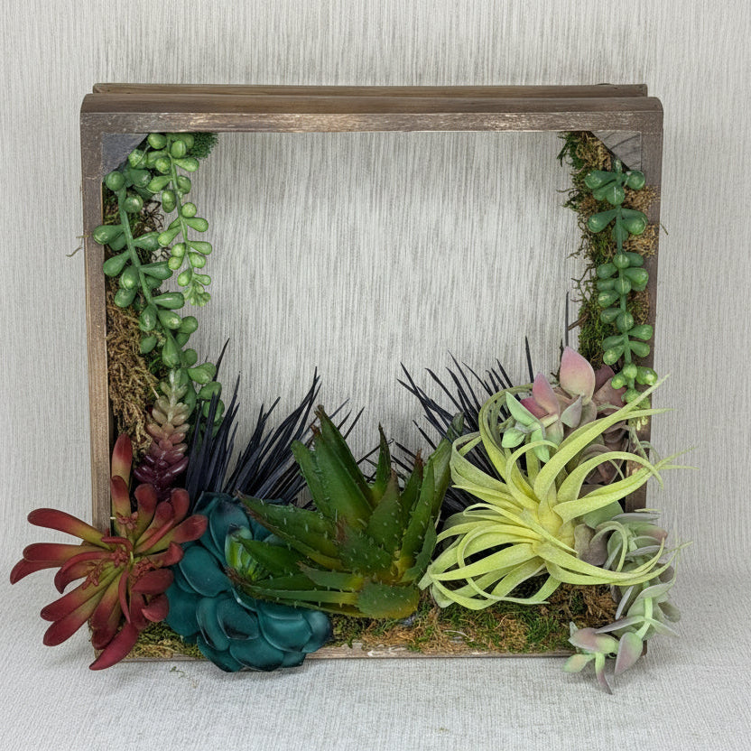 Decorative frame with assorted succulents and plants on a textured surface