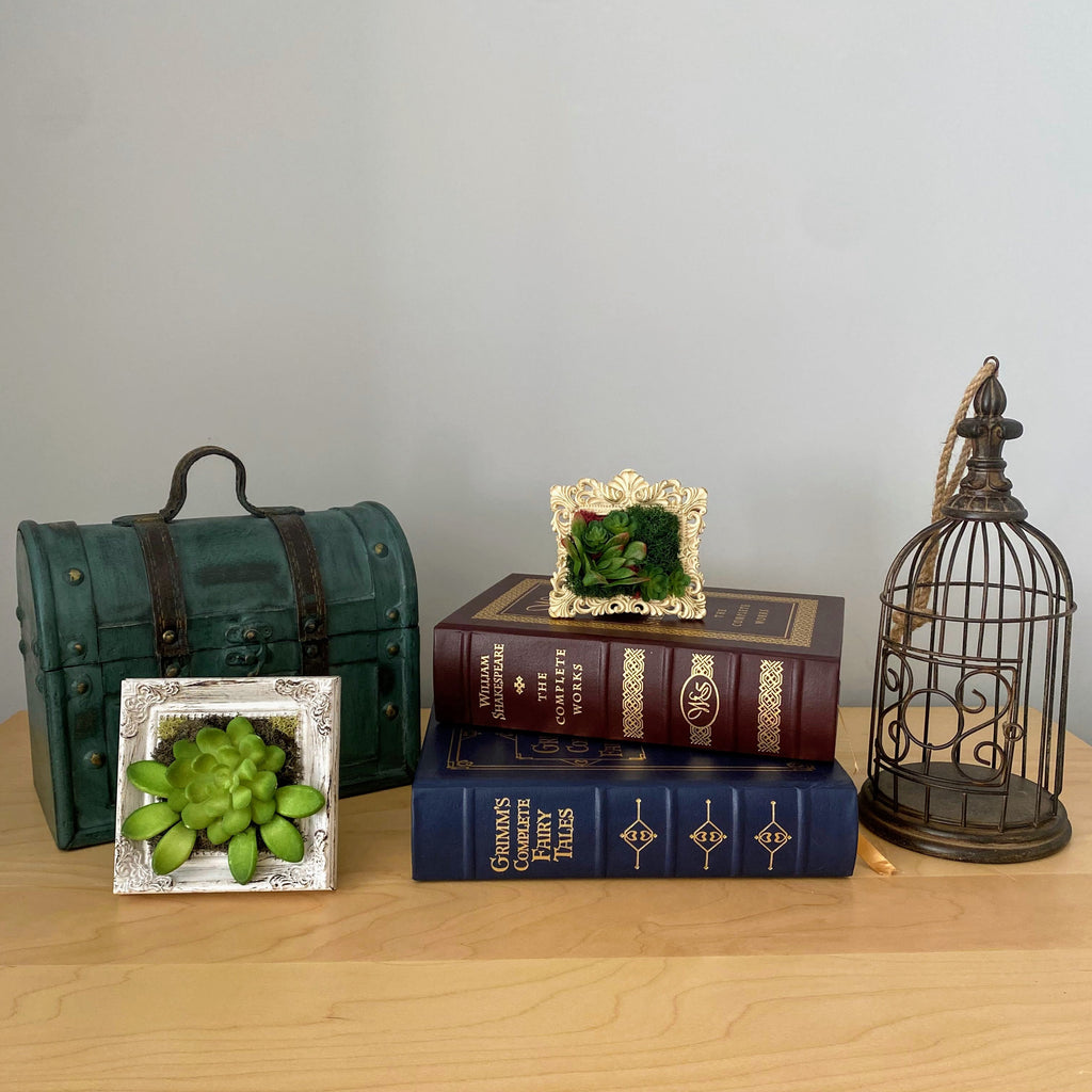 Decorative items including books, a birdcage, and framed pictures on a wooden surface with a gray background.
