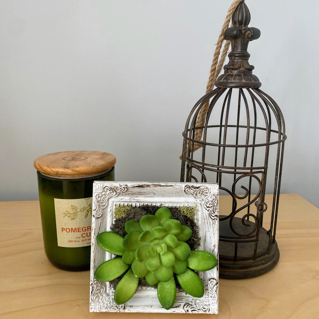 Decorative candle, succulent in a frame, and metal lantern on a wooden surface.