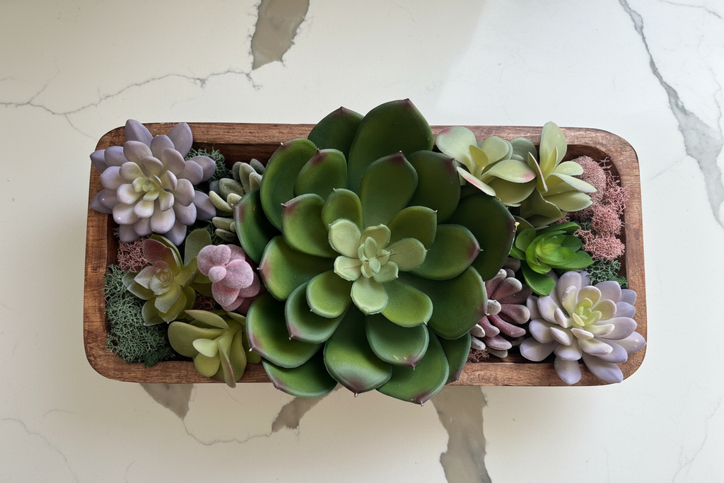 Enhanced Succulent Cradle Image